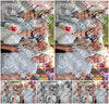 Evenement foto: 2912