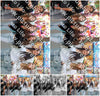Evenement foto: 2912
