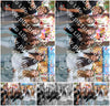 Evenement foto: 2912