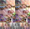 Evenement foto: 2912