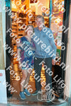 Evenement foto: 2912