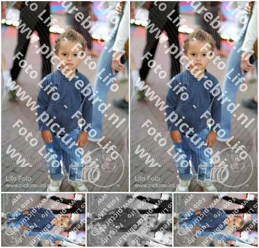Evenement foto: 2911