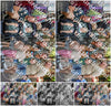 Evenement foto: 2910