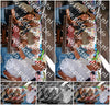 Evenement foto: 2908