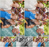Evenement foto: 2906