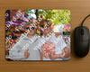 Evenement foto: 2906