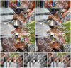 Evenement foto: 2905