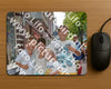 Evenement foto: 2905
