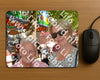 Evenement foto: 2904