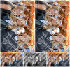 Evenement foto: 2904