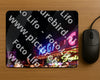 Evenement foto: 29