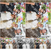 Evenement foto: 2203