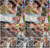 Evenement foto: 2203