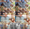 Evenement foto: 2200