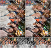 Evenement foto: 204