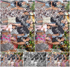Evenement foto: 203