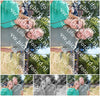 Evenement foto: 202
