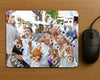 Evenement foto: 201