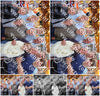 Evenement foto: 2939