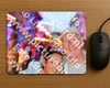 Evenement foto: 2939