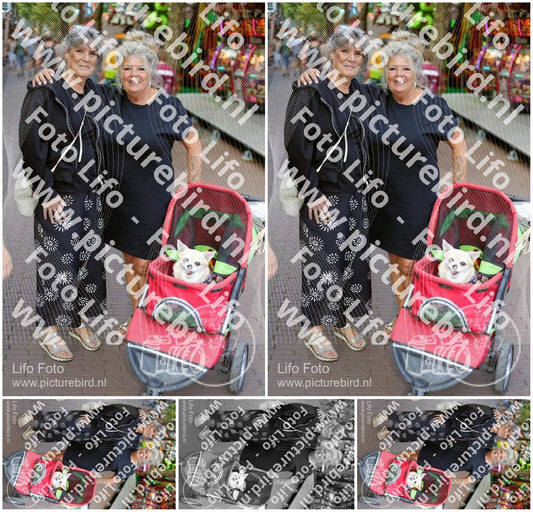 Evenement foto: 2937