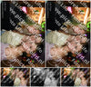 Evenement foto: 2917