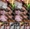 Evenement foto: 2917