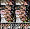 Evenement foto: 2916