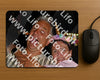 Evenement foto: 2880
