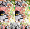 Evenement foto: 2880