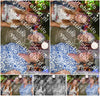 Evenement foto: 2958