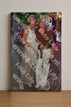 Evenement foto: 2957