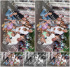 Evenement foto: 2957