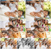 Evenement foto: 2955