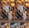 Evenement foto: 2945