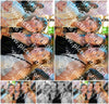 Evenement foto: 2945