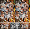 Evenement foto: 2944