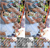 Evenement foto: 2942