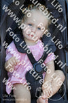 Evenement foto: 2941