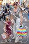 Evenement foto: 2941