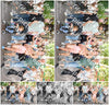 Evenement foto: 2918