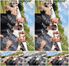 Evenement foto: 2864