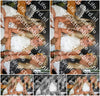 Evenement foto: 2863