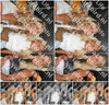 Evenement foto: 2863