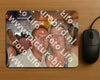 Evenement foto: 2863