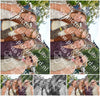 Evenement foto: 2862