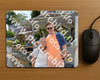 Evenement foto: 2858