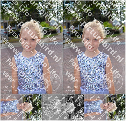 Evenement foto: 2857