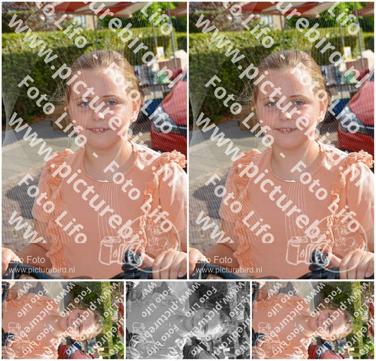 Evenement foto: 2856