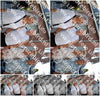 Evenement foto: 2856
